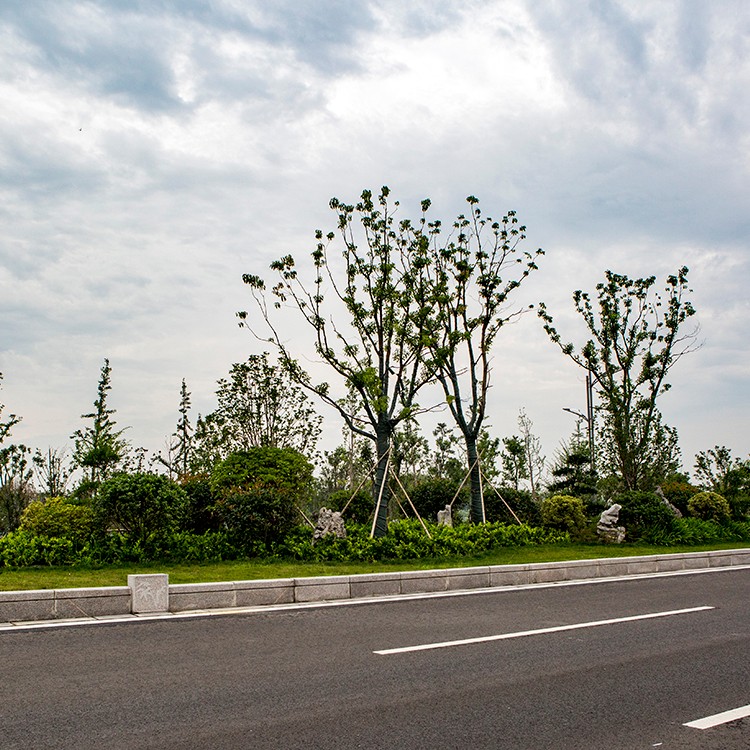 英武大道